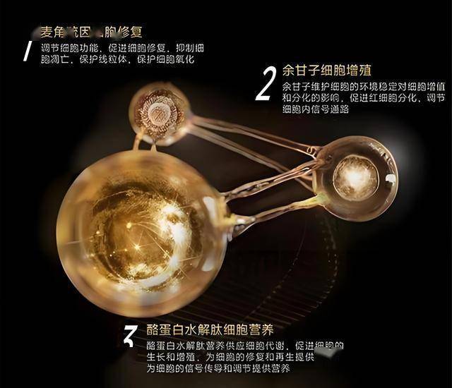 xm外汇平台杠杆比例网络摄像头终端避免利用默认口令